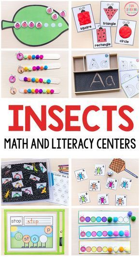 Insect Literacy Activities, Insects Kindergarten, Insect Craft, Literacy Activities Preschool, Bug Activities, Insects Preschool, Bugs Preschool, Insect Activities, Insect Crafts