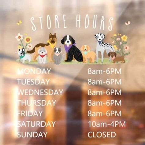 Dog Business Ideas, Pet Shop Design, Dog Daycare Design, Pet Store Display, Kennel Business, Dog Boutique Ideas, Pet Store Design, Pet Store Ideas, Dog Boarding Facility