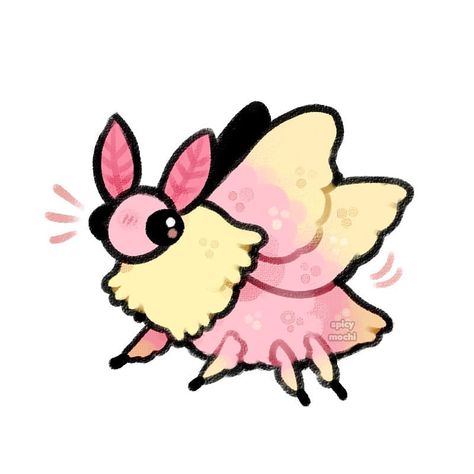 ✧ spicymochi ✧ on Instagram: “Pink lemonade moth . . . #rosymaplemoth #moth #moths #fluffy #mothman #bug #bugs #insects #digitalart #digitalillustration #art #artwork…” Pink Moth, Moth Drawing, Cute Moth, Moth Art, Animal Doodles, Cute Animal Drawings Kawaii, Cute Doodles Drawings, Easy Drawings Sketches, Cute Doodle Art