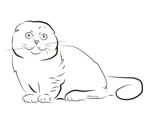 Munchkin Cat Drawing, Cat Outline, Chrysoprase Jewelry, Munchkin Cat, Cat Sketch, Scottish Fold, Fun Art, Cat Drawing, Learn To Draw