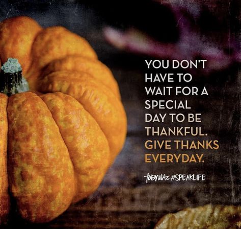 Positive Living Quotes, Toby Mac, Blessed Thanksgiving, November Quotes, Happy Thursday Quotes, Team Quotes, Season Quotes, Thanksgiving Prayer, Thankful Quotes