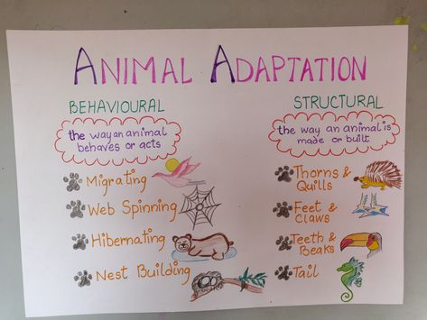 Science- Habitat and Adaptation Adaptation In Animals, Animal Adaptations Anchor Chart, Fourth Grade Science Projects, Adaptations Science, Food Chain Activities, Animal Adaptation, Habitat Activities, Science Exhibition, Science Doodles