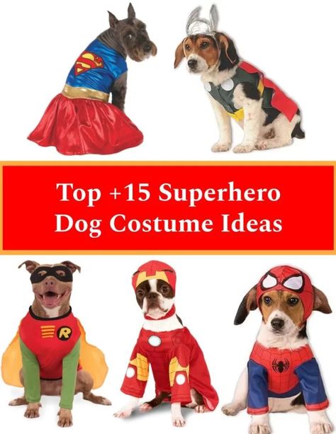 Superhero Dog Costumes Marvel and DC Dog Superhero Costume, Batman Dog Costume, Wonder Woman Costume Diy, Best Dog Halloween Costumes, Superhero Dog, Dog Costumes Funny, Mickey Halloween Party, Avengers Costumes, Superman Costumes