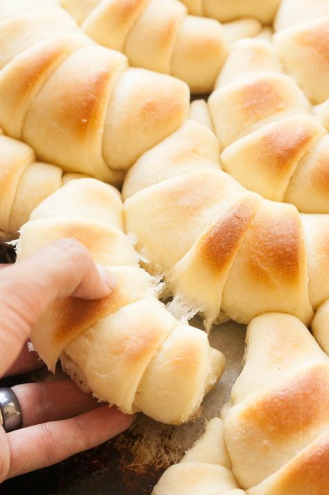 PERFECT Crescent Dinner Rolls. You'll never need to search again! The Kitchen McCabe - Live Colorfully. Eat Beautifully. Crescent Dinner Rolls, Making Bread, Biscuit Rolls, Live Colorfully, Bread Rolls, Rolls Recipe, Dinner Rolls, Bread Dough, Homemade Bread