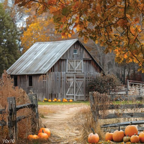 Rustic Pumpkin Patch Barn Photography Backdrop Embrace the cozy charm of a fall day in the countryside with our Rustic Pumpkin Patch Barn Photography Backdrop. This beautifully crafted backdrop features a classic weathered barn nestled among golden autumn foliage, evoking a sense of nostalgia and warmth. The pathway leading to the barn is lined with pumpkins, enhancing the rustic, harvest theme that’s perfect for creating seasonal memories. The backdrop captures the essence of a serene, rural se Rustic Pathways, Seasonal Photography, Harvest Theme, Country Vibes, Barn Photography, Barn Pictures, Old Country Churches, Rustic Pumpkin, Golden Autumn