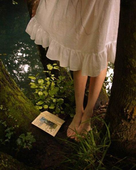 In The Woods, A Tree, A Book, A Woman