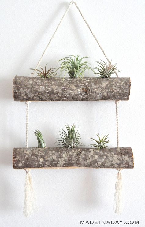 Plant Holder Diy, Plant Display Ideas, Air Plants Decor, Plants Diy, Plant Pot Diy, Plant Crafts, Air Plant Display, Support Plante, Diy Plant Hanger