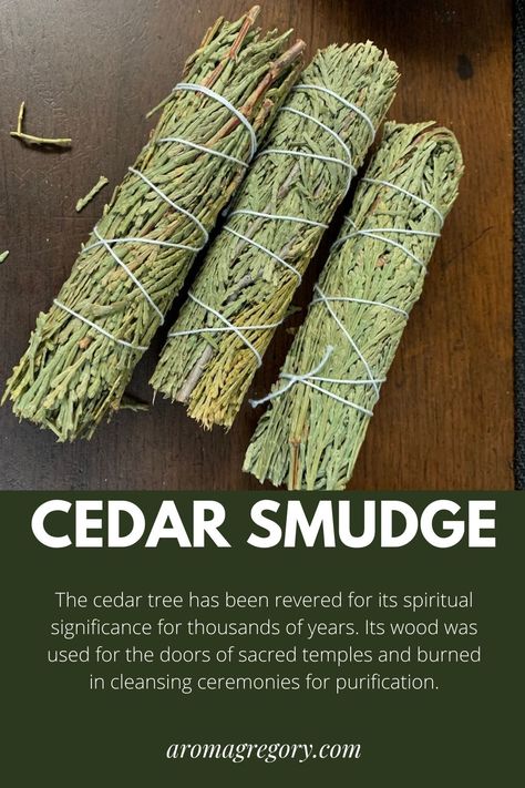 The cedar tree has been revered for its spiritual significance for thousands of years. Its wood was used for the doors of sacred temples and burned in cleansing ceremonies for purification. Cedar has a long history of use in indigenous sweat lodge ceremonies and the tree was thought to house important gods and to be an entrance to higher spiritual realms. Indigenous Practices, Cedar Smudge Sticks, Cedar Smudge, Sweat Lodge, Metaphysical Store, Cedar Tree, Wise Woman, Metaphysical Shop, Ritual Tools