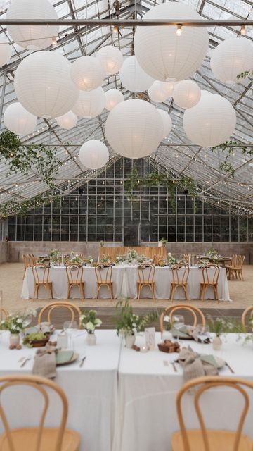 Paper Lanterns Wedding Decor, Paper Lantern Wedding, Asia Wedding, Lanterns Wedding, Store Front Windows, Paper Lanterns Wedding, Lantern Decor Wedding, Cluster Chandelier, Paper Lanterns