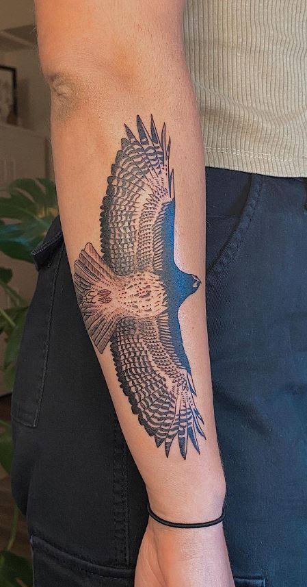 Red Shouldered Hawk Tattoo, Red Tail Hawk Tattoo, Hawk Tattoos, Courage Tattoo, Red Tail Hawk, Hawk Tattoo, Tattoo Me, Red Tailed Hawk, Tattoo Arm