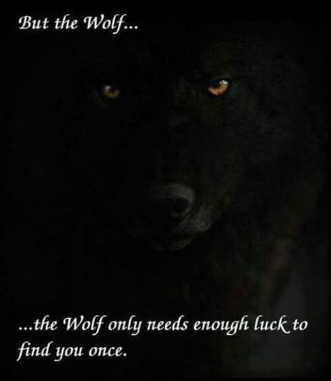 Embedded image Wolfpack Quotes, Lone Wolf Quotes, Dark Wolf, Warrior Goddess, Series Quotes, Wolf Stuff, Fantasy Wolf, Strength Quotes, Wolf Quotes