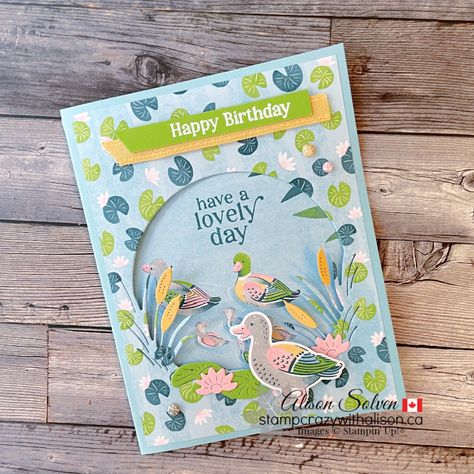 Lilly Pond, Duck Pond, Stampin Up Catalog, Cricut Cards, Lily Pond, Birthday Cards For Men, Bird Cards, Birthday Cards Diy, Stamping Up Cards