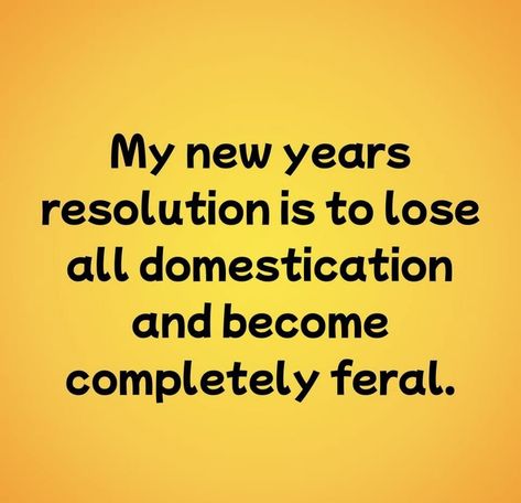 New Year Meme, Year Resolutions, New Years Resolution, Friends Funny, Holidays, Memes, Funny, Quotes