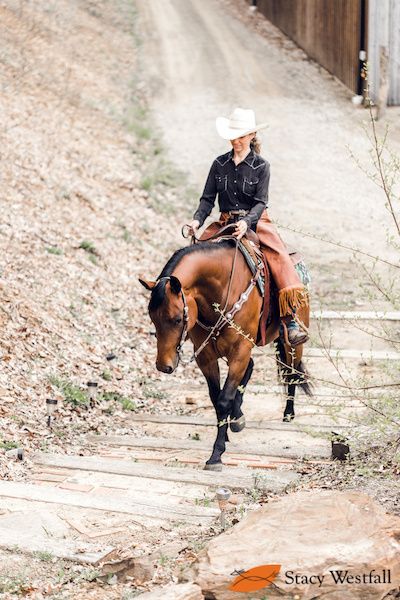 5 steps for teaching the free walk for western dressage. - Official Site of Stacy Westfall Western Dressage, Ranch Riding, Reining Horses, Horse Training Tips, American Quarter Horse, Western Riding, Horse Aesthetic, My Horse, Equestrian Lifestyle