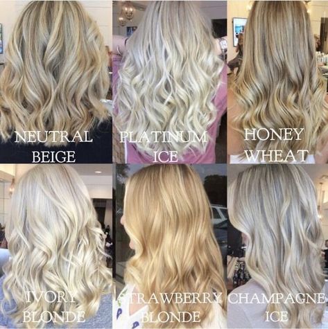 Blonde Hair Color Guide, Neutral Beige Hair Color, All Over Cool Blonde Hair Color, Silver And Gold Hair Color, One Tone Blonde Hair, Non Bleach Blonde Hair, Beige Vs Ash Blonde Hair, Neutral Skin Blonde Hair, Champagne Ice Blonde Hair