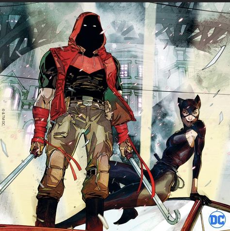 Red Hood Dc, Red Hood Comic, Batman Catwoman, Red Hood Jason Todd, Batman And Catwoman, Arte Dc Comics, Tim Drake, Comic Shop, Batman Family