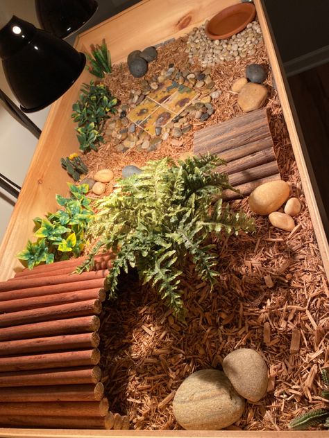 Small Tortoise Habitat Indoor, Tortoise Cage Ideas, Russian Tortoise Enclosure Indoor, Tortoise Tank Ideas Indoor, Horsefield Tortoise Enclosure Indoor, Tortoise Table Indoor Diy, Tortoise Terrarium Indoor, Redfoot Tortoise Enclosure Indoor, Turtle House Indoor