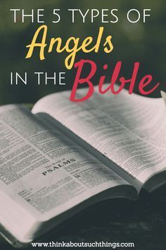 Angels In The Bible, Bible Angels, Angels Bible, Types Of Angels, Psalm 103, God's Voice, The Will Of God, Hebrews 13, Will Of God