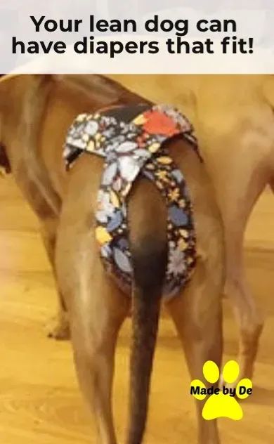 Athletic dogs, especially those with a long, lean build, can have a rough time finding diapers that fit. Great Fit diapers adjust in several ways to help make the fit more custom. In addition, they are made just for your dog for the best fit possible. Dog Diapers Diy Female, Feminine Pad, Dog Overalls, Feminine Pads, Athletic Dogs, Dog In Heat, Fit Dogs, Active Dogs, Rough Time