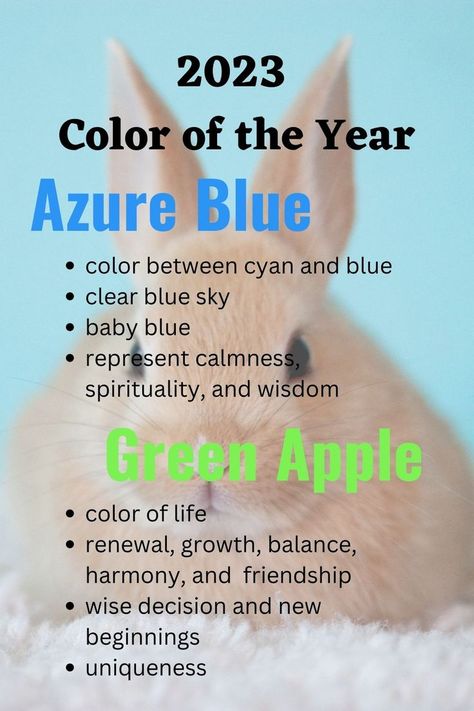 Water Rabbit Chinese Zodiac, Year Of The Water Rabbit, Water Rabbit, 2023 Color Of The Year, Chinese Zodiac Rabbit, Chinese New Year Zodiac, Blue Apple, Chinese Festival, 2023 Color