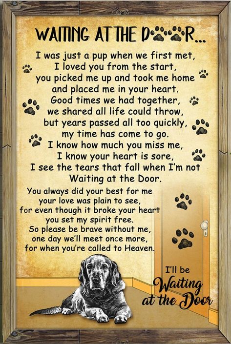 Dog Poems, Dog German, Pet Remembrance, Dogs Love, Pet Loss, Dog Sitting, Paw Prints, Animal Quotes, Dog Quotes