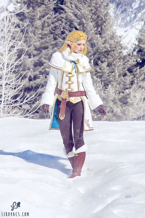 Zelda Winter Outfit, Zelda Clothes, Zelda Outfits, Link Zelda Art, Winter Picture, Legend Of Zelda Characters, Princesa Zelda, Zelda Cosplay, Zelda Art