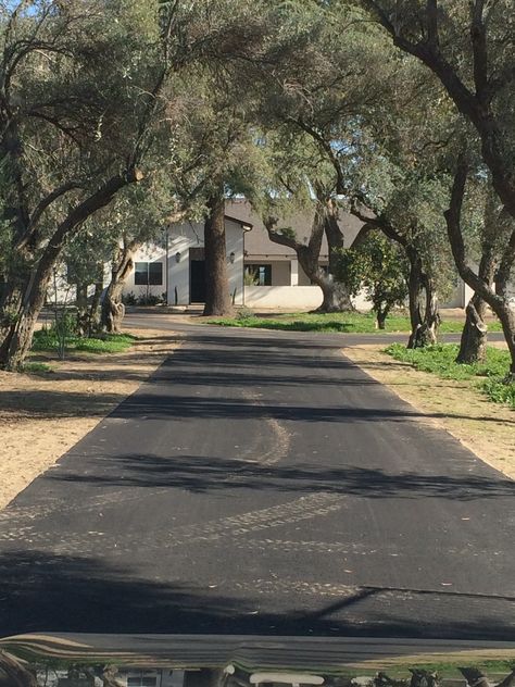 Olive tree driveway. Olive Tree Lined Driveway, Rustic Mediterranean, Tree Lined Driveway, Tree Line, Mediterranean Home, Olive Tree, Driveway, City Streets, Reference Images