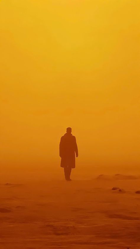 Instagram Blade Runner 2049 Wallpaper, Neverland Disney, Blade Runner Wallpaper, Runner Wallpaper, New Retro Wave, Septième Art, I Love Cinema, Blade Runner 2049, Film Inspiration