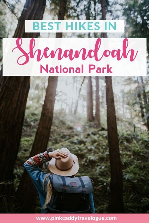 With over 500 miles of trails in the park, it can be hard to choose which one to do! Here's a list of the top 10 best hikes in Shenandoah National Park #hiking #usa #shenandoah #virginia Visit Virginia, Shenandoah Virginia, Hiking Usa, Nature Trip, Virginia Travel, 500 Miles, Hiking Spots, National Park Road Trip, Hiking Destinations