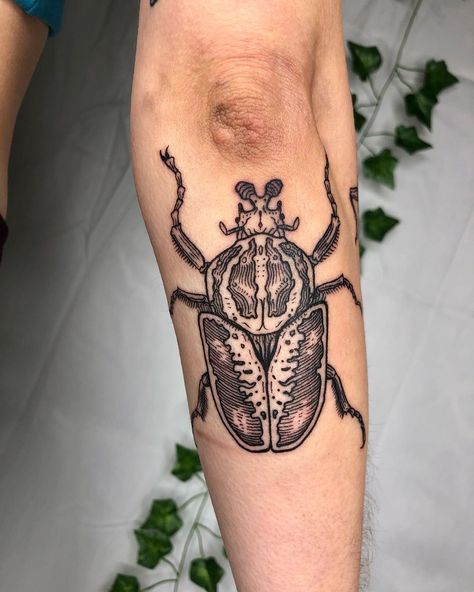 One More Tattoo, Tattoo Beetle, Goliath Beetle, Beetle Tattoo, Bug Tattoo, Bug Collection, More Tattoo, Time Tattoos, Tattoo Sleeve Designs