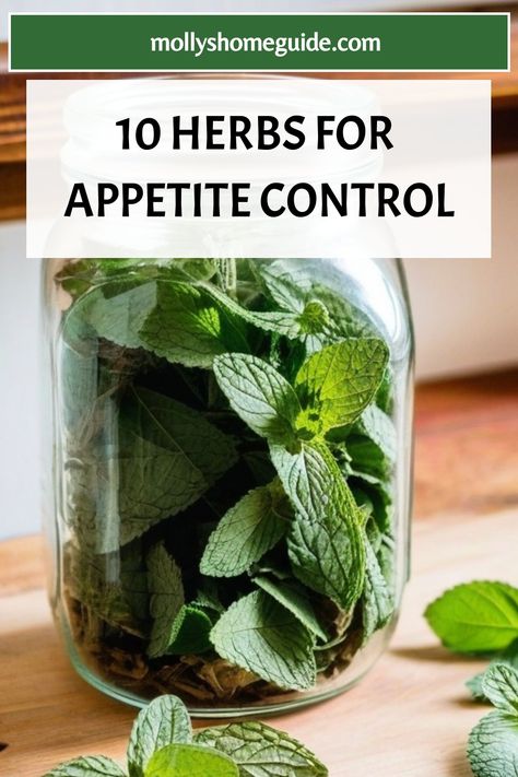 Discover the power of herbs for appetite control with these natural remedies. From bitter herbs to adaptogens, there is a wide range of options to help curb your appetite and support weight loss. Try out some herbal slimming teas or explore the benefits of incorporating appetite-suppressing herbs into your daily routine. Whether you're looking for new ways to manage cravings or wanting to boost your weight loss journey, these natural food appetite suppressants can be a great addition to your wel Herbs For Weight Management, Natural Appetite Supressors, Curb Appetite Naturally, Bitter Herbs, Appetite Suppressants, Decrease Appetite, Curb Appetite, Unhealthy Snacks, Bergamot Oil