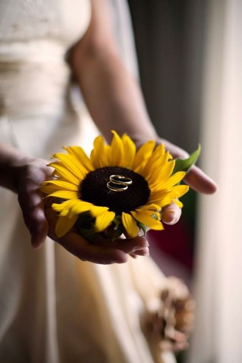 Wedding Photography Country, Sunflower Wedding Decorations, Rustic Sunflower Wedding, Country Wedding Photography, Sunflower Wedding Bouquet, Sunflower Themed Wedding, Mom Wedding, Future Wedding Plans, Sunflower Wedding