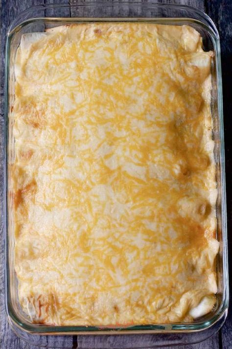 Campbells Chicken Enchiladas, Sourcream Chicken Enchiladas, Easy Cheese Enchiladas, Sour Cream Chicken Enchilada Recipe, Sour Cream Chicken Enchiladas, Cream Chicken Enchiladas, Cream Of Mushroom Chicken, Cream Cheese Chicken Enchiladas, Easy Chicken Enchilada Recipe