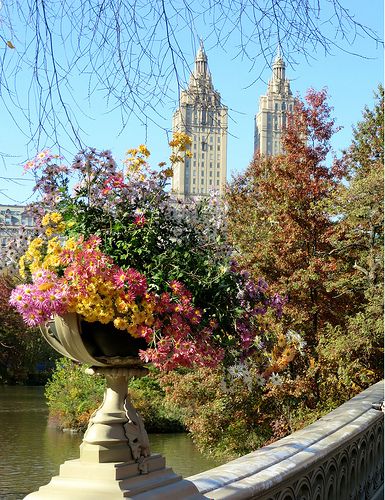 Central Park, New York City November In New York, Central Park New York City, I Love Nyc, New York City Travel, Ny City, Nova York, Concrete Jungle, City Aesthetic, Kochi