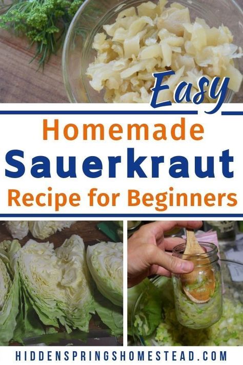 Canning Sauerkraut, Fermenting Recipes, Canning Tools, Making Sauerkraut, Fermented Sauerkraut, Sauerkraut Recipe, Homemade Sauerkraut, Modern Homesteading, Sauerkraut Recipes