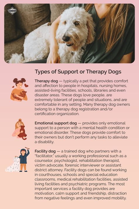 Many people confuse service dogs, therapy dogs and emotional support animals. While all of these dogs help their owners and other people in some way, their training, responsibilities and access to public areas are very different. Learn about the difference in our blog. #DogJobs #DogFacts Therapy Dog Quotes, Emotional Support Dog Certificate, How To Train A Therapy Dog, How To Train An Emotional Support Dog, Training An Emotional Support Dog, Emotional Support Dog Training, Dog Therapy, Dog Emotions, Emotional Support Dog