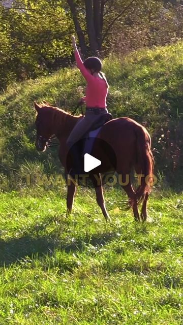 Jack and Paula Curtis Horsemanship on Instagram: "Unlock You Hip To Ride Better...

❣ Watch More! 🐴 ArtOfTheHorseman.com 🐴 ✅ FREE 
✅ 150 World Class Experts ✅ 900 Videos ✅ 13 Learning Tracks

⭐️⭐️⭐️⭐️⭐️ “There are so many great trainers giving advice, tips, and training instruction for beginners to the advanced. All in one place! What a great resource for all-horse people! What a great benefit to both horse and human!!” - Patti ~ Professional Rider

⭐️⭐️⭐️⭐️⭐️ ”There are some really new thoughts and ideas! I discovered something I never knew in my 40+ years with horses, and it is an 'ingredient' that changes EVERYTHING in my relationship with them!” -Angela ~ Many Disciplines

⭐️⭐️⭐️⭐️⭐️ “So much great information on a wide variety of topics. The majority with a much gentler approach to Horse For Beginners, Natural Horsemanship Training, Giving Advice, Horse And Human, Natural Horsemanship, My Relationship, New Thought, Horse Rider, World Class