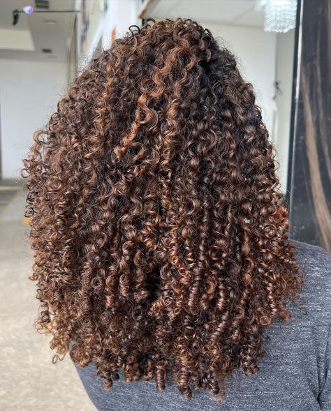 Curly Face Framing Highlights, Highlights Black Women Curly Hair, Brown Highlights 4c Hair, Caramel Highlights On Black Curly Hair, Highlights With Curly Hair, Curly Caramel Highlights, Think Curly Hair, Dark Brown Hair Curly, Natural Hair With Highlights