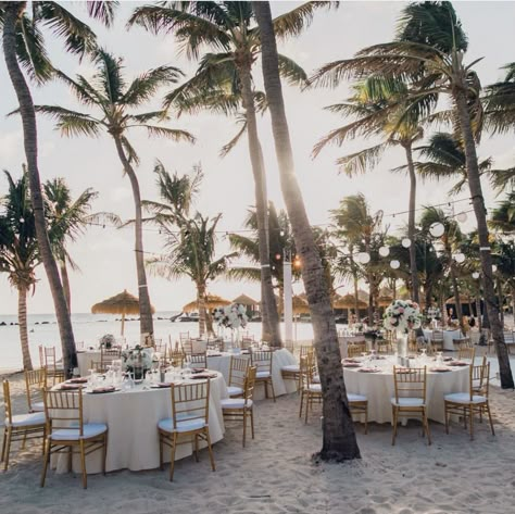 Aruba Wedding Venues, Turtle Bay Wedding, Private Island Wedding, Honeymoon Travel Agent, Aruba Wedding, Aruba Weddings, Wedding Theme Color Schemes, Beaches Resorts, Nautical Wedding Invitations