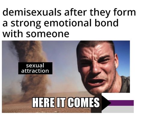 Demisexual Humor, Demisexual Aesthetic, Asexual Humor, Lgbt Humor, Lgbt Memes, Ace Pride, Lgbtq Funny, Gay Memes, Lgbt Love