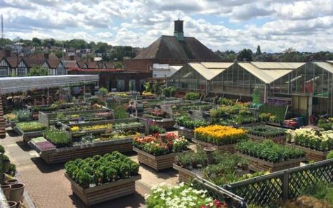 Sunshine Garden Centre Pinterest Plant, Garden Center Displays, Nursery Layout, Raised Garden Bed Plans, Market Garden, Tree Nursery, Garden Nursery, Garden Store, Garden Centre