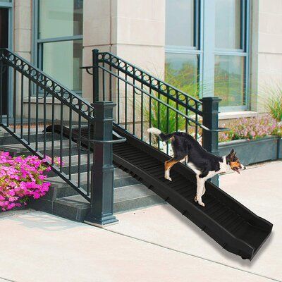 Tucker Murphy Pet™ folding pet ramps enable your four - legged friends to safely walk up and down the stairs and car. The ramp has a stable side panel at the bottom. Our ramps are lightweight and have a high load capacity of 165 pounds and can be folded up for storage. An essential accessory for you and your pet! | Tucker Murphy Pet™ 62” Pet Ramp Plastic in Black, Size 3.5 H x 15.5 W x 61.5 D in | Wayfair Dog Ramp For Stairs, Pet Grooming Tub, Outdoor Ramp, Dog Ramp For Bed, Dog Grooming Tubs, Dog Washing Station, Pet Ramp, Dog Stairs, Dog Ramp