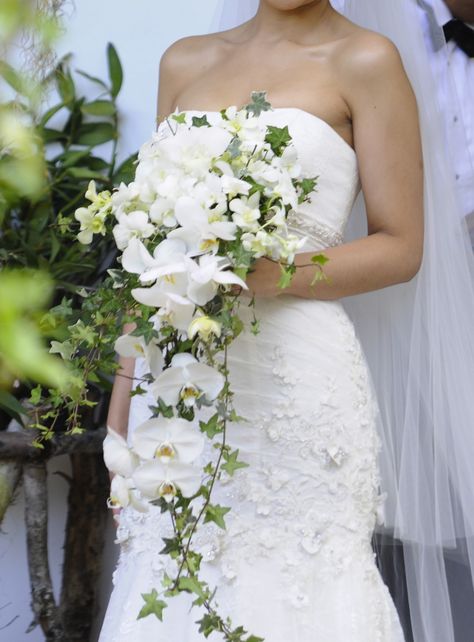 I like the cascading ivy Ivy Wedding, Orchid Bridal Bouquets, Orchid Bouquet Wedding, Cascading Wedding Bouquets, Orchid Bouquet, Bridal Bouquet Flowers, Orchid Wedding, Cascade Bouquet, White Wedding Bouquets