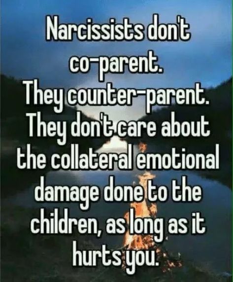 Protecting Children Quotes, Divorced Parents Quotes, Coparenting Quotes, New Parent Quotes, Co-parenting, Parallel Parenting, Narcissistic People, Parental Alienation, Narcissistic Parent