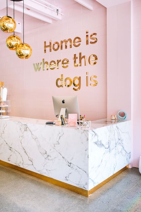 Dog Grooming Salon Decor, Dog Boutique Ideas, Dog Daycare Business, Pet Store Design, Tor Design, Pet Store Ideas, Pet Cafe, Pet Grooming Salon, Dog Grooming Shop