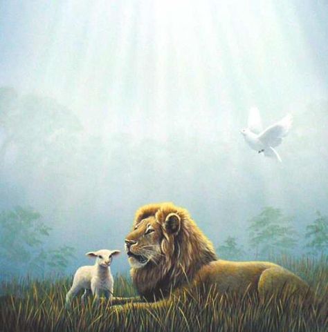 Lion Lamb Dove, Lion And The Lamb Painting, Lion Lamb Dove Tattoo, The Lion And The Lamb, Lion Lamb, Carol Moore, Prophetic Painting, Lion Of Judah Jesus, Lion And Lamb