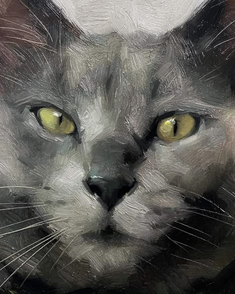 Gray Cat Painting, Gray Cat Art, Grey Cat Painting, Grey Cat Illustration, Cat Portrait Painting, Dog Portraits Painting, Oil Painting Inspiration, Animal Portraits Art, Cat Aesthetic