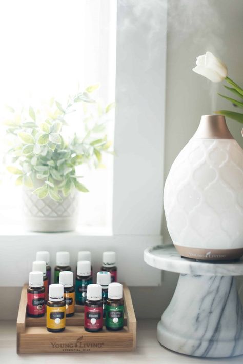 These little bottles of essential changed my life and I want them to change yours for the better too. That’s why I’m offering an incredible deal on the Young Living Premium Starter Kit–  and we’d be honored if you joined our Lemonade Essentials family and started your journey to detoxing your home, medicine cabinet, and personal care stash with us! Essential Oils Quotes, Premium Starter Kit Young Living, Essential Oils Organization, Young Living Diffuser, Essential Oil Shelf, How To Make Oil, Essential Oil Storage, Living Essentials Oils, Oil Storage