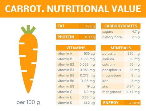 9 Health Benefits of Carrots (+ 16 Healthy Recipes!) Carrot Nutrition Facts, Benefits Of Carrots, Carrot Juice Benefits, Health Benefits Of Carrots, Carrot Benefits, Cucumber Benefits, Post Workout Protein, Healthy Carrot Cakes, Raw Carrots