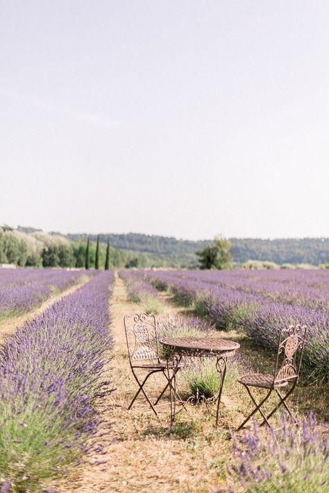 This elegant session captures timeless love against the stunning backdrop of the French countryside, with soft lavender hues and the charm of a historic château. Lavender Fields Wedding, Romantic Elegant Wedding, Wedding Content, Provence Lavender, Provence Wedding, South France, Checklist Travel, Travel Guide Book, Iconic Weddings